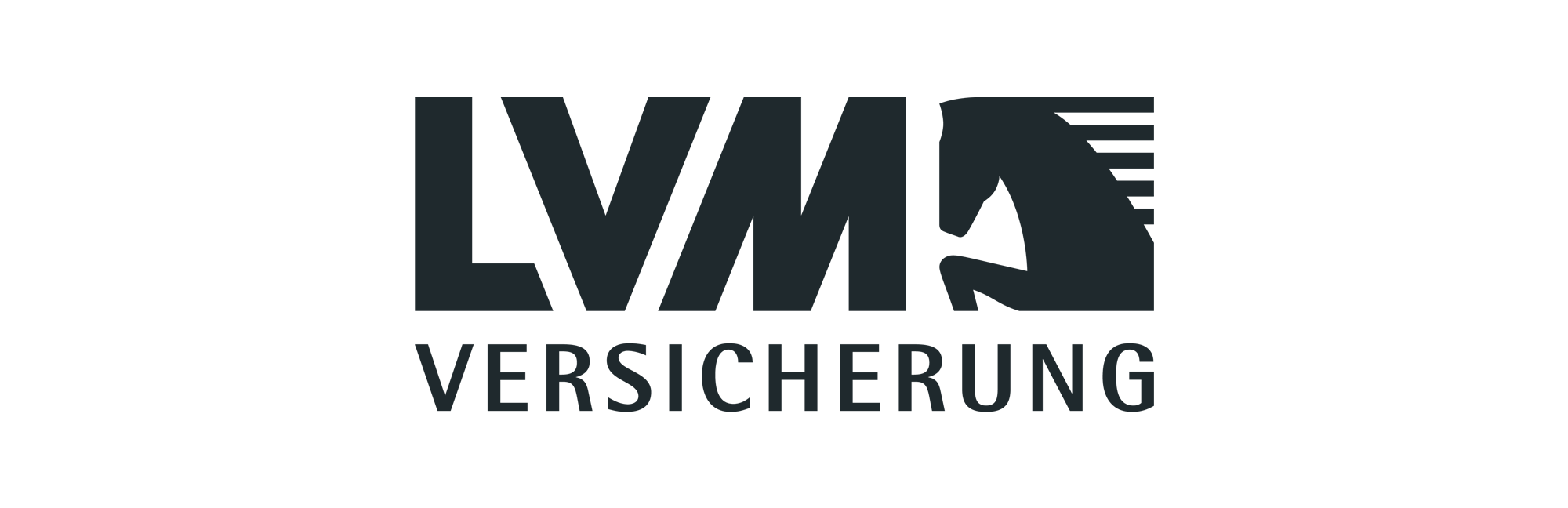 lvm_groß